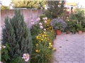 gredica